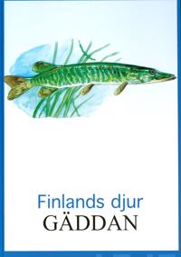 Gäddan Finlands djur