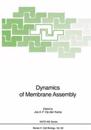 Dynamics of Membrane Assembly