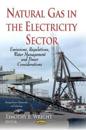 Natural Gas in the Electricity Sector