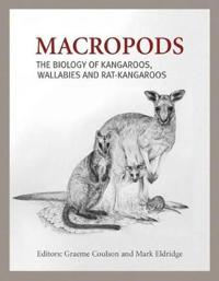 Macropods