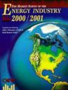 The Market Survey of the Energy Industry 2000/2001