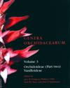 Genera Orchidacearum Volume 3