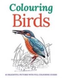 Coloring Birds: Over 40 Delightful Pictures with Full Coloring Guides
