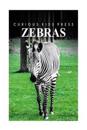 Zebra - Curious Kids Press
