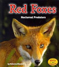 Red Foxes: Nocturnal Predators