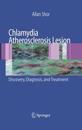 Chlamydia Atherosclerosis Lesion