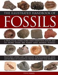 The Illustrated Handbook of Fossils