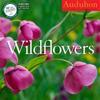 Audubon Wildflowers 2015 Calendar