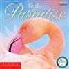 Audubon Birds of Paradise 2015 Calendar