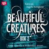 Beautiful Creatures Bok 2, Svåra val, magiska hemligheter