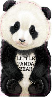 Little Panda Bear