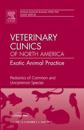 Pediatrics of Common and Uncommon Species, An Issue of Veterinary Clinics: Exotic Animal Practice