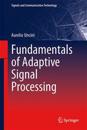 Fundamentals of Adaptive Signal Processing