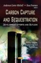 Carbon CaptureSequestration