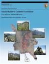 Natural Resource Condition Assessment: City of Rocks National Reserve: Natural Resource Report NPS/UCBN/NRR?2012/600