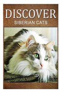 Siberian Cats - Discover: Early Reader's Wildlife Photography Book