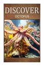 Octopus - Discover: Early Reader's Wildlife Photography Book