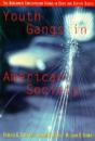 Youth gangs in american society