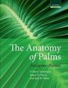 The Anatomy of Palms