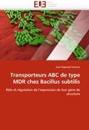 Transporteurs ABC de Type MDR Chez Bacillus Subtilis