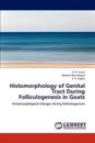 Histomorphology of Genital Tract During Folliculogenesis in Goats