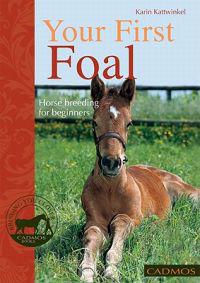 Your First Foal