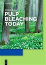 Pulp Bleaching Today