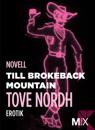 Till Brokeback Mountain: erotisk novell