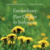 Extraordinary Plant Qualities for Biodynamics
