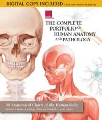 The Complete Portfolio of Human Anatomy and Pathology
