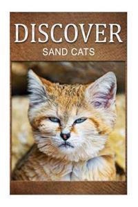 Sand Cats - Discover: Early Reader's Wildlife Photography Book