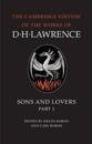 The Complete Novels of D. H. Lawrence 11 Volume Paperback Set