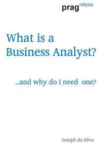 What Is a Business Analyst?: ...and Why Do I Need One?