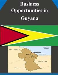 Business Opportunities in Guyana