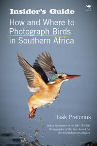 Insider's Guide: How and Where to Photograph Birds in Southern Africa