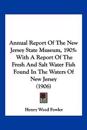 Annual Report Of The New Jersey State Museum, 1905