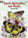 Exotic Butterflies and Moths Cb