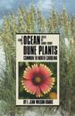 A Guide to Ocean Dune Plants Common to North Carolina
