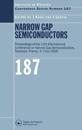 Narrow Gap Semiconductors