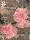 The National Trust Plant and Garden Notebook