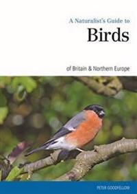 A Naturalist's Guide to the Birds of Britain & Northern Europe