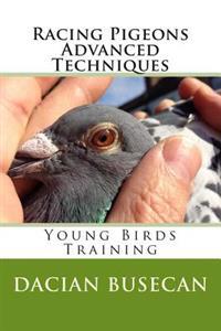 Racing Pigeons Advanced Techniques: Young Birds Training