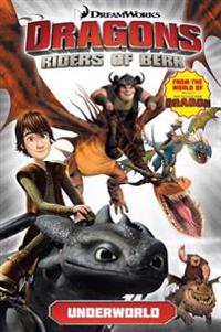 Dragons: Riders of Berk 6