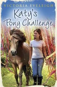 Katy's Pony Challenge: Katy's Exmoor Ponies 4