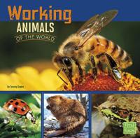 Working Animals of the World