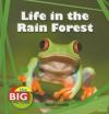 Life in the Rain Forest
