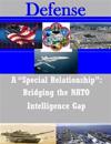 A "special Relationship": Bridging the NATO Intelligence Gap