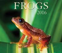Frogs 2016 Calendar
