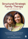 Structural/Strategic Family Therapy