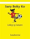 Sary Boky Ko